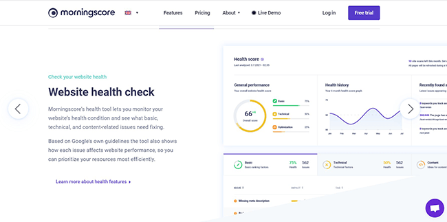 Morningscore Website Health Check Homepage