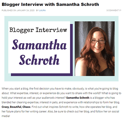 Interviews - blogger interview